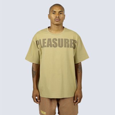 Pleasures Expand Heavyweight Shirt Brown - Brown - Short Sleeve T-Shirt
